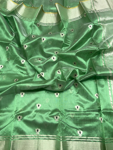 Raveena - Chanderi Handloom Pattu (silk by silk) Saree