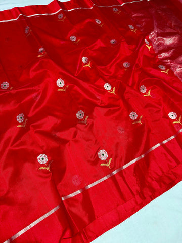 Somti - Chanderi Handloom Pattu (Silk by Silk) Saree